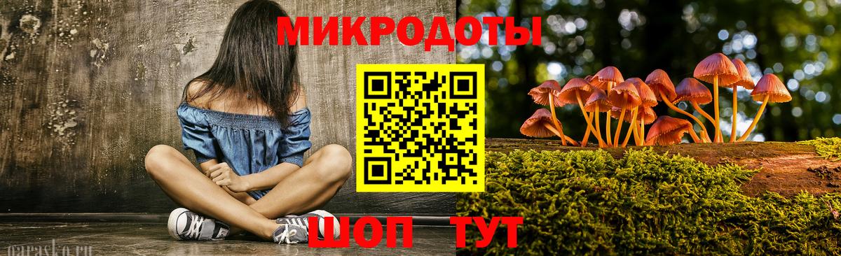 Галлюциногенные грибы Psilocybe Кунгур