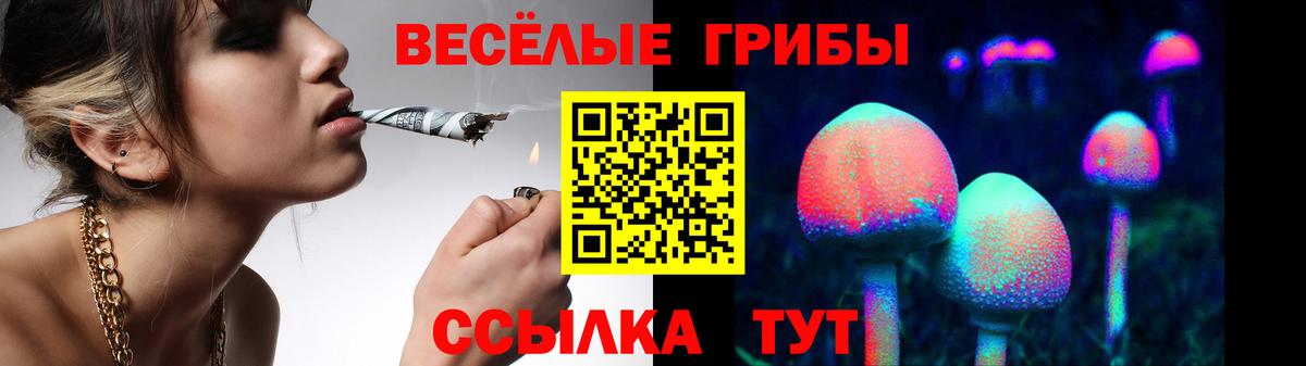 Псилоцибиновые грибы MAGIC MUSHROOMS  Вход с VPN  Кунгур 